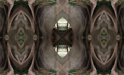PC171093Kal5.jpg